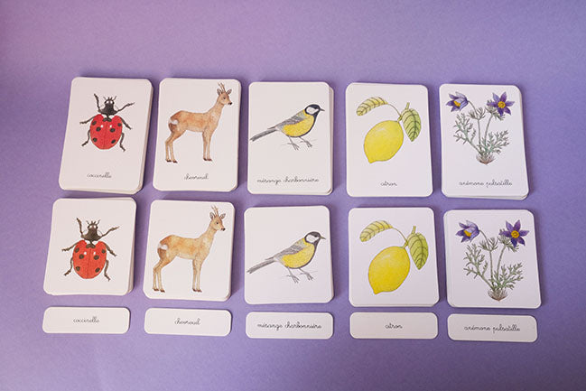 Cartes à manipuler - Mon Imagier Montessori pour apprendre les premiers mots - NATHAN